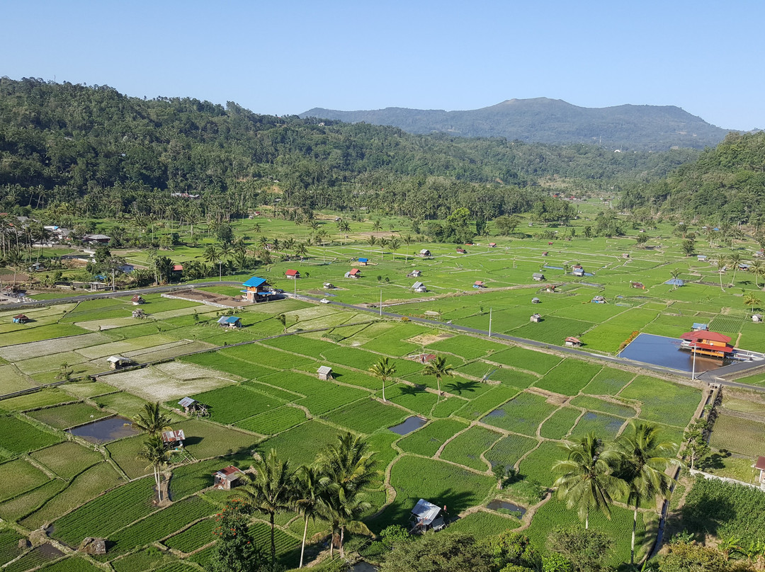 Kaisanti Garden景点图片