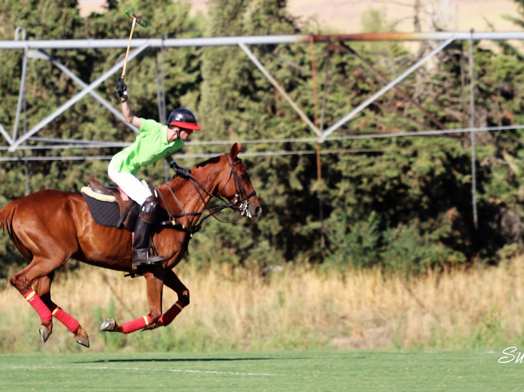 Iridike Polo Club景点图片