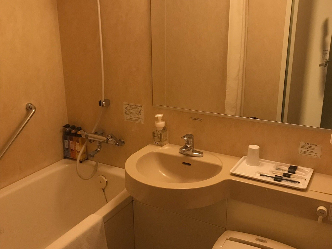 水户大和鲁内酒店主图