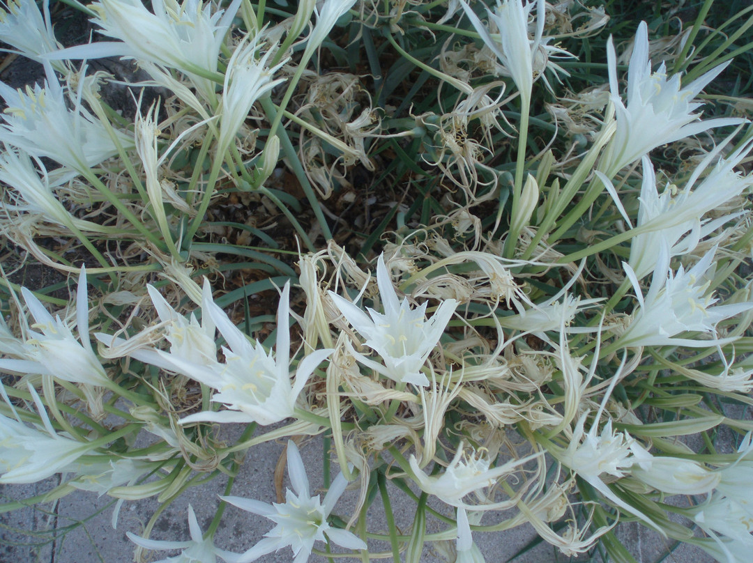 Ionian Beach Hotel主图