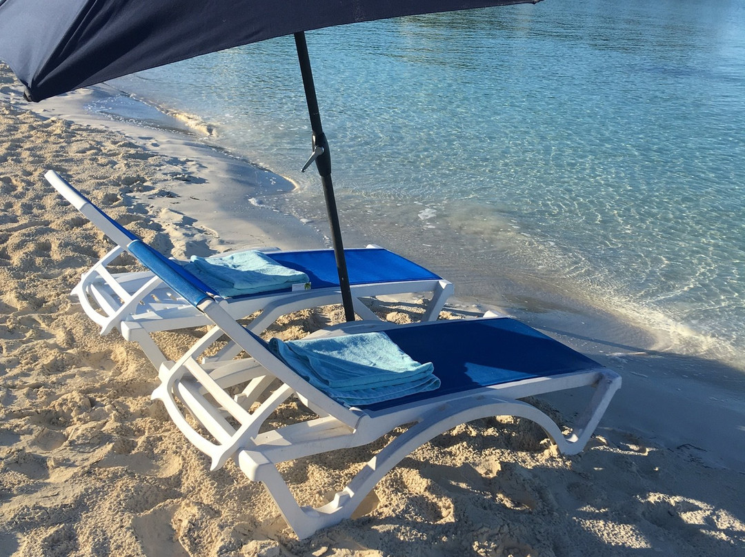 Taylor Bay Beach-普罗维登西亚莱斯必去景点