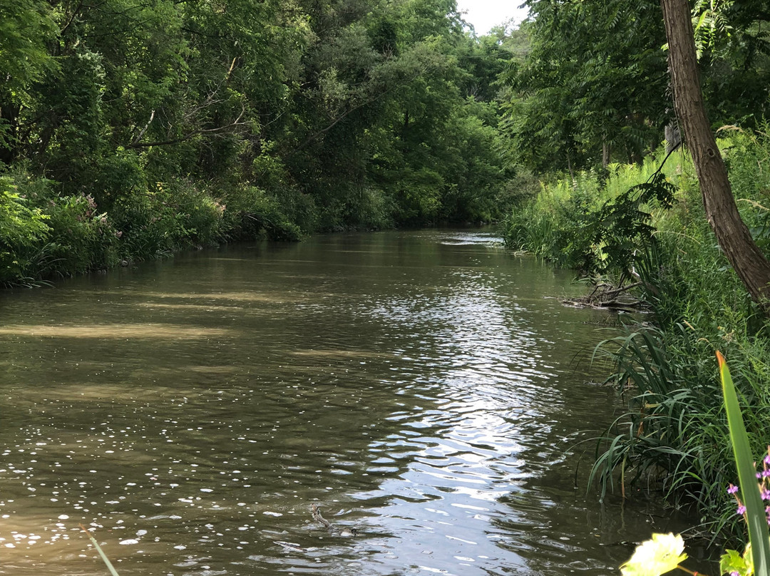 Tom Taylor Trail-Newmarket必去景点