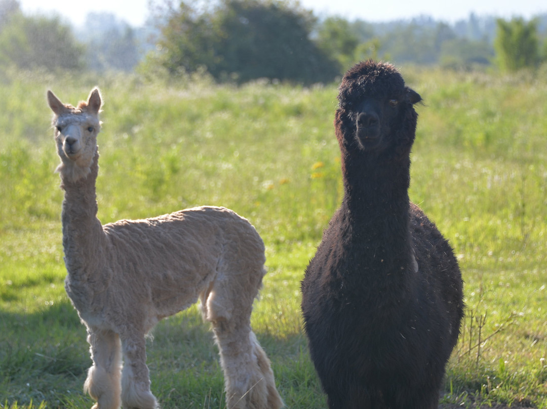 Valle del Arriero-Chimbarongo必去景点