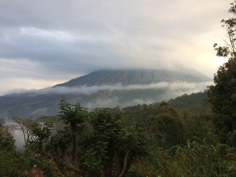 Manulalu Bed and Breakfast-酒店景观