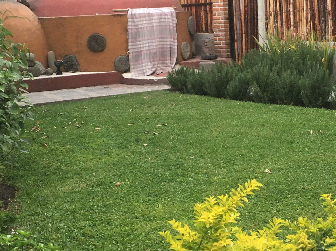 La Flor Sagrada - Spa-Xochitepec必去景点