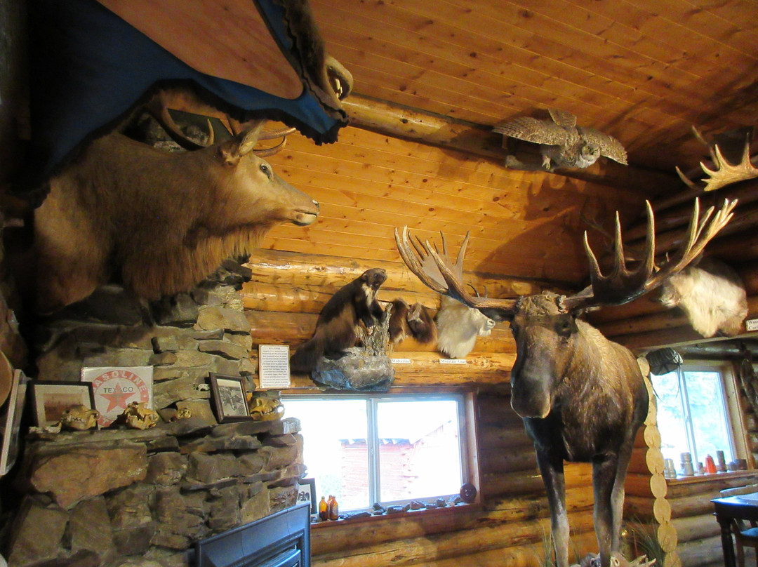 Tatogga Lake Resort主图