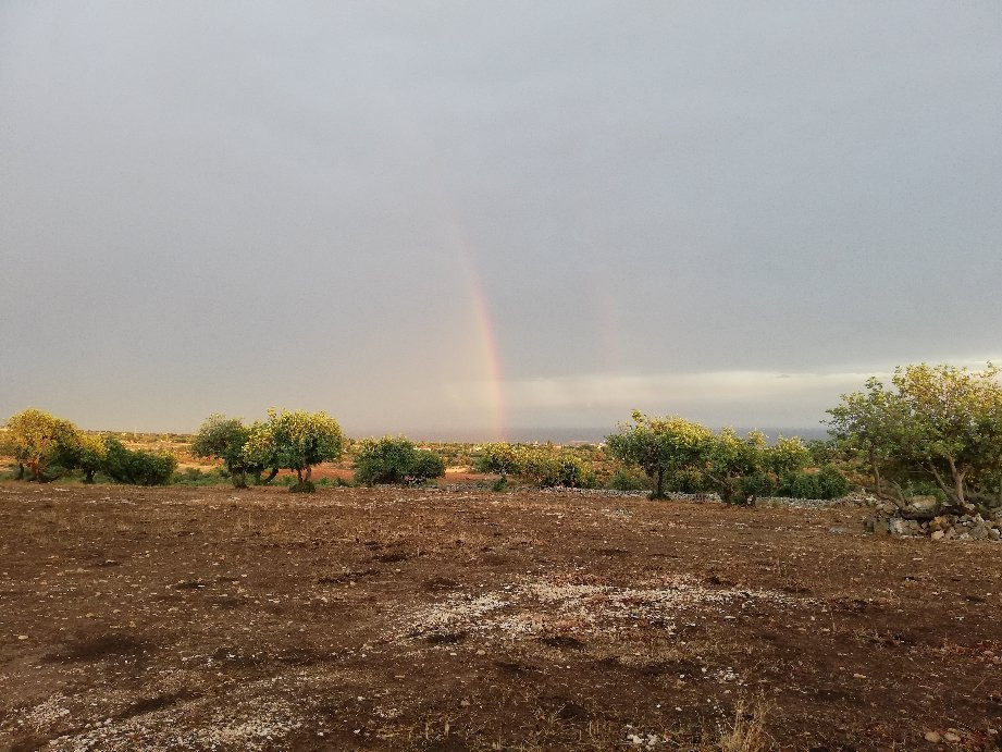 Ara' - Agriturismo/B&B主图