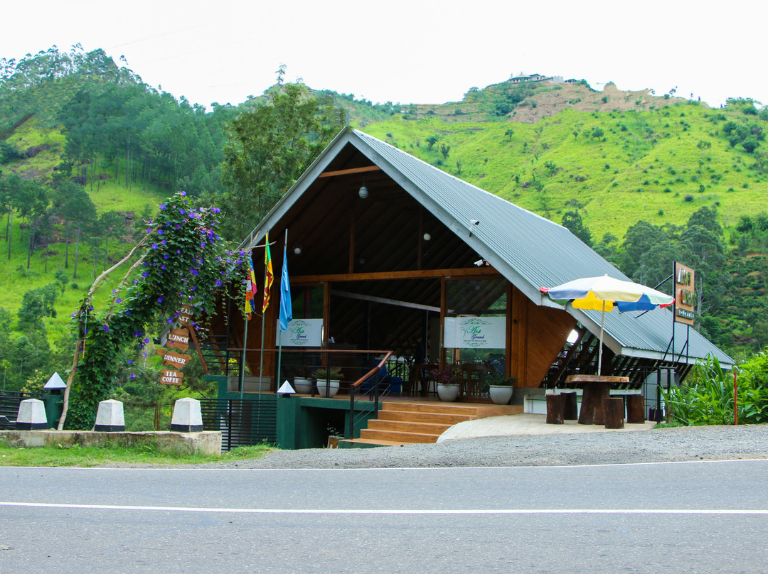 Aloft Grand Hotel主图