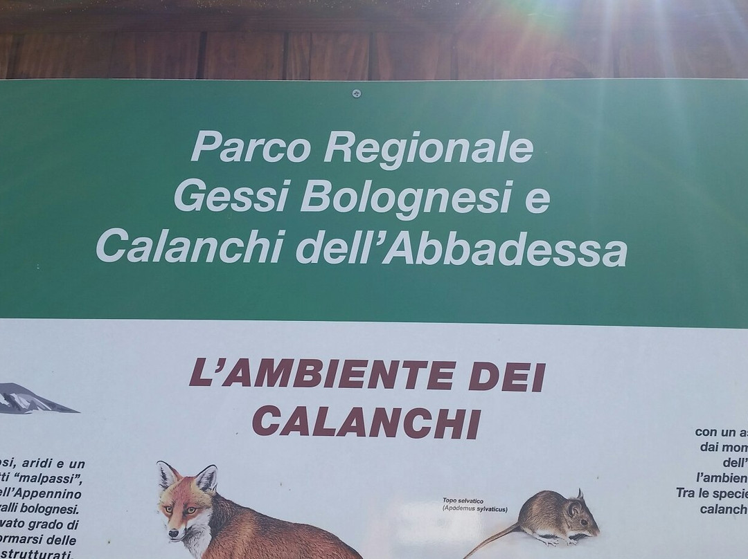 Parco dei Gessi Bolognesi景点图片