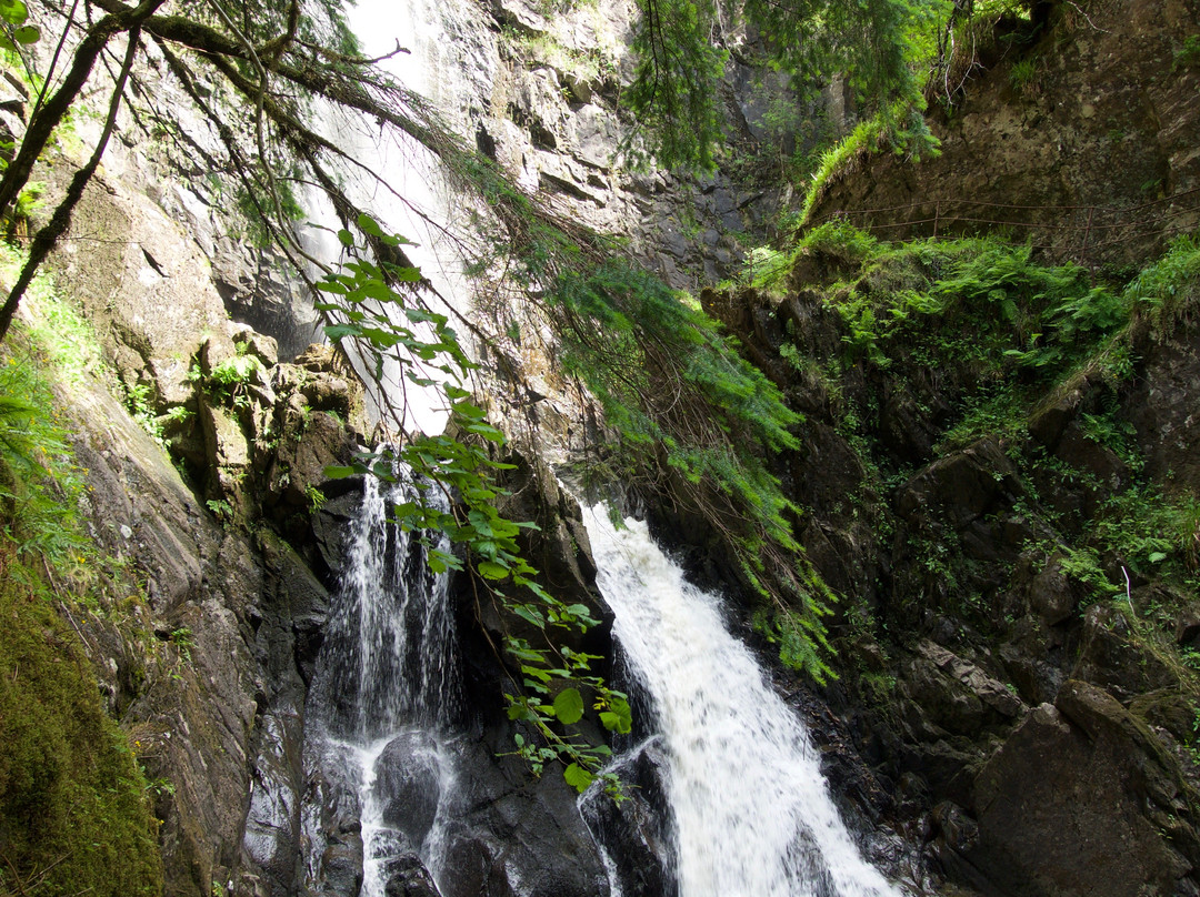 Plodda Falls-Tomich必去景点