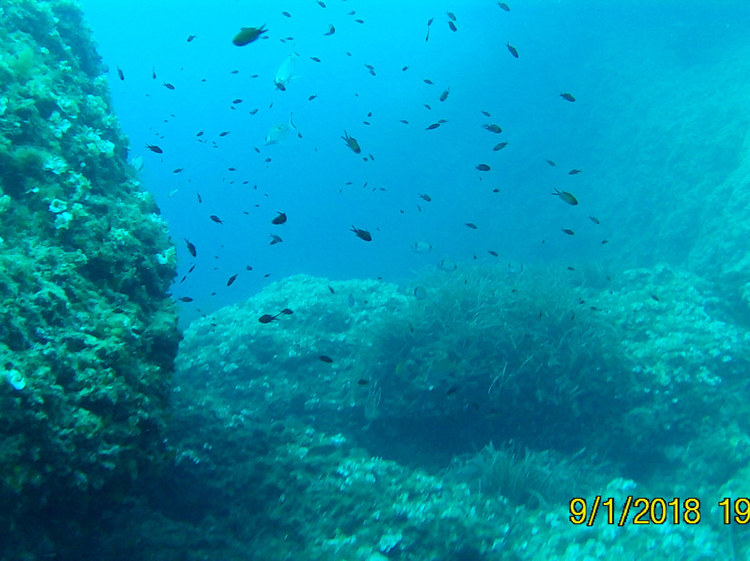 Tavolara Diving Center景点图片