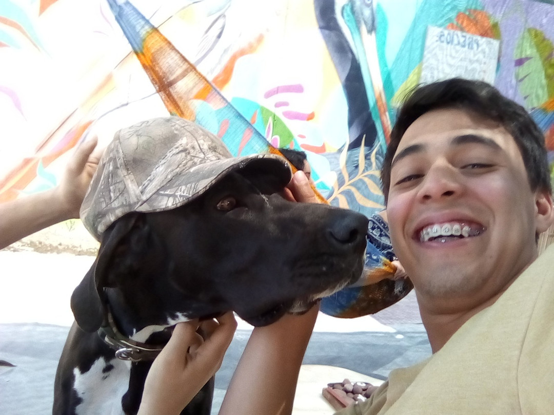 Desert Lodge Paracas&Tours主图