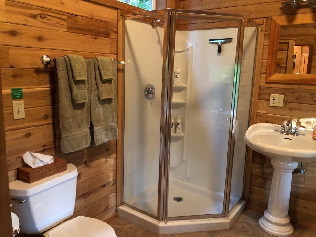 Deep Forest Cabins at Mt. Rainier主图