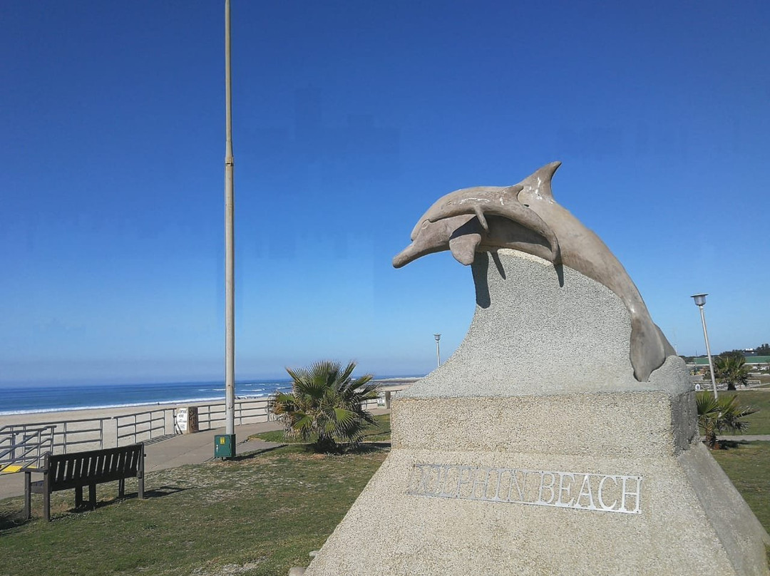 Dolphin Beach-杰佛瑞湾必去景点