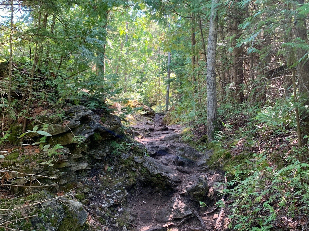 Little Cove Beach-托伯莫里必去景点