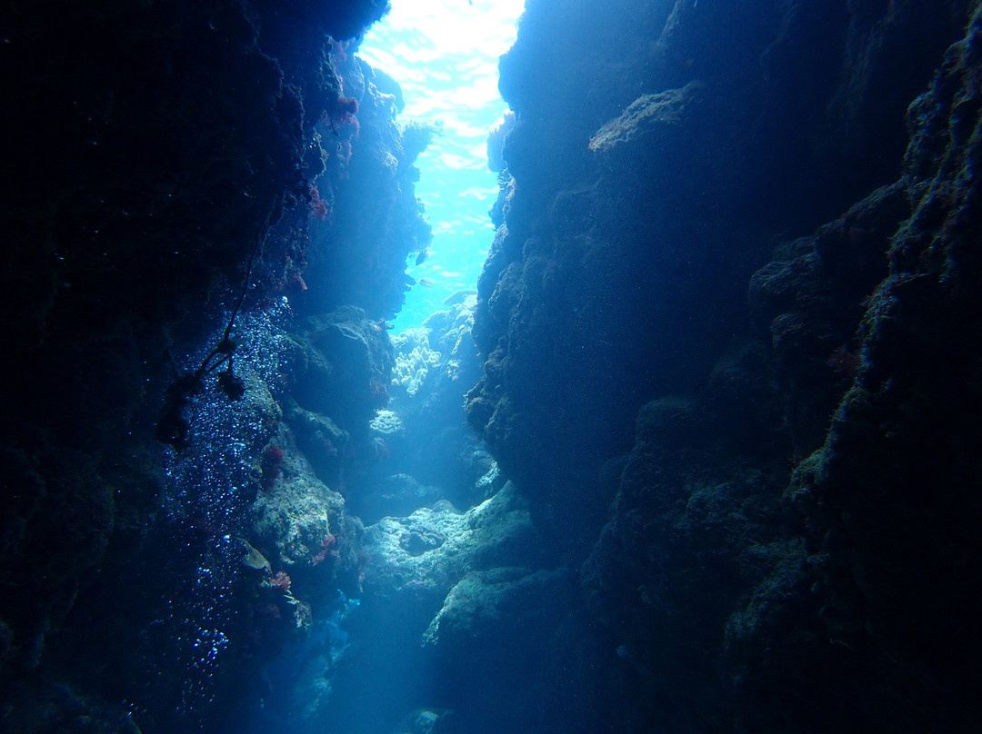 Dive 7 Seas Okinawa-名护市必去景点