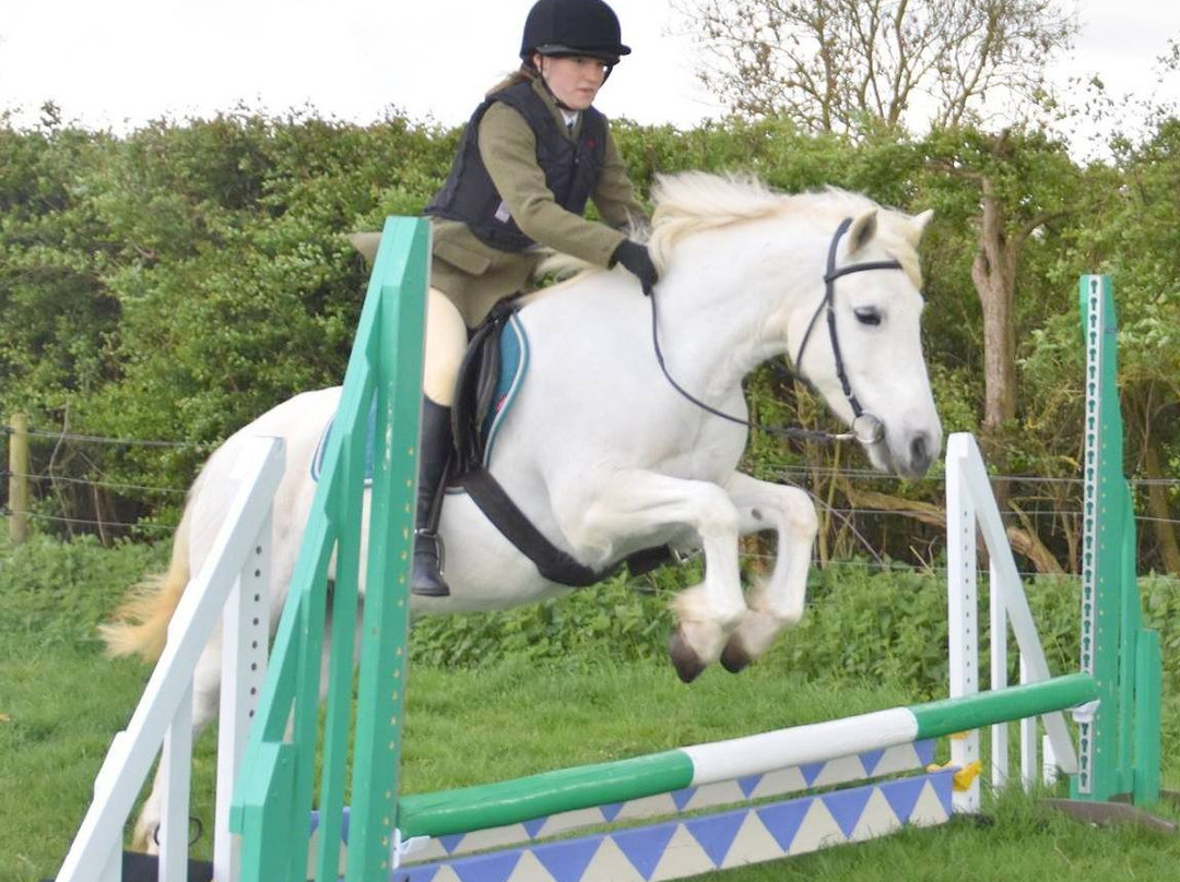 Valley Farm Equestrian Leisure-Wickham Market必去景点
