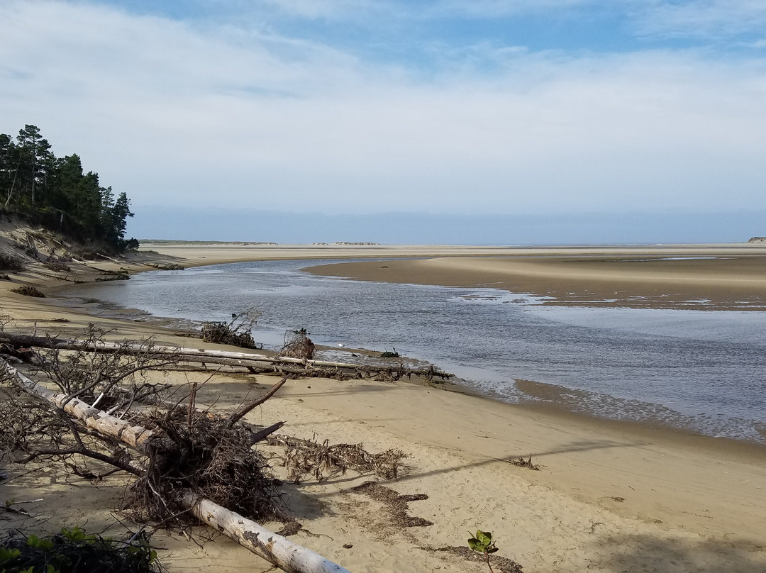 Whalen Island County Park景点图片