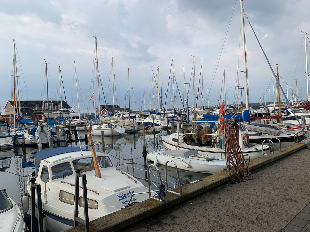Juelsminde Havn og Marina景点图片