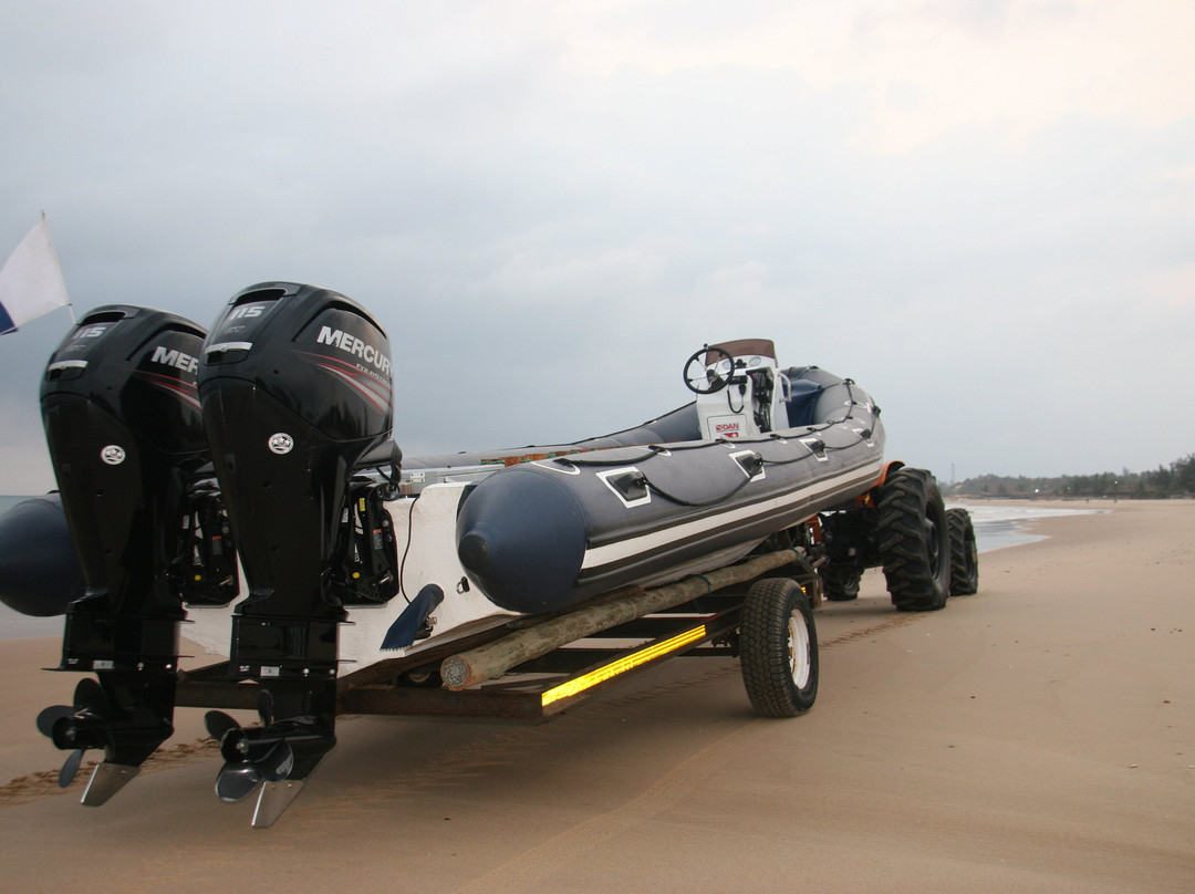 Aquaholics Barra Scuba & Activities-Praia da Barra必去景点