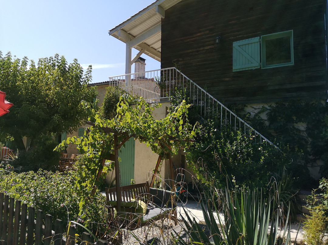 Les Vignes Reines主图