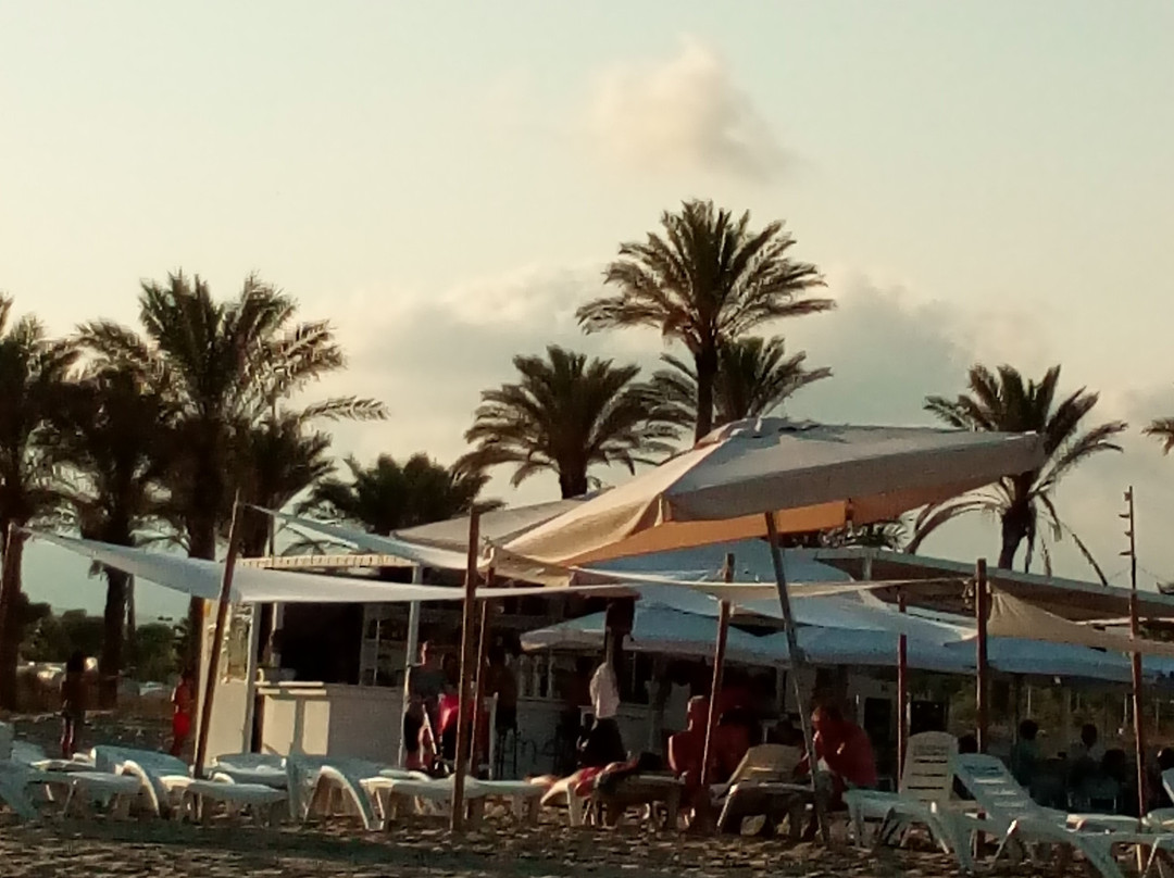 Playa Del Pinar景点图片
