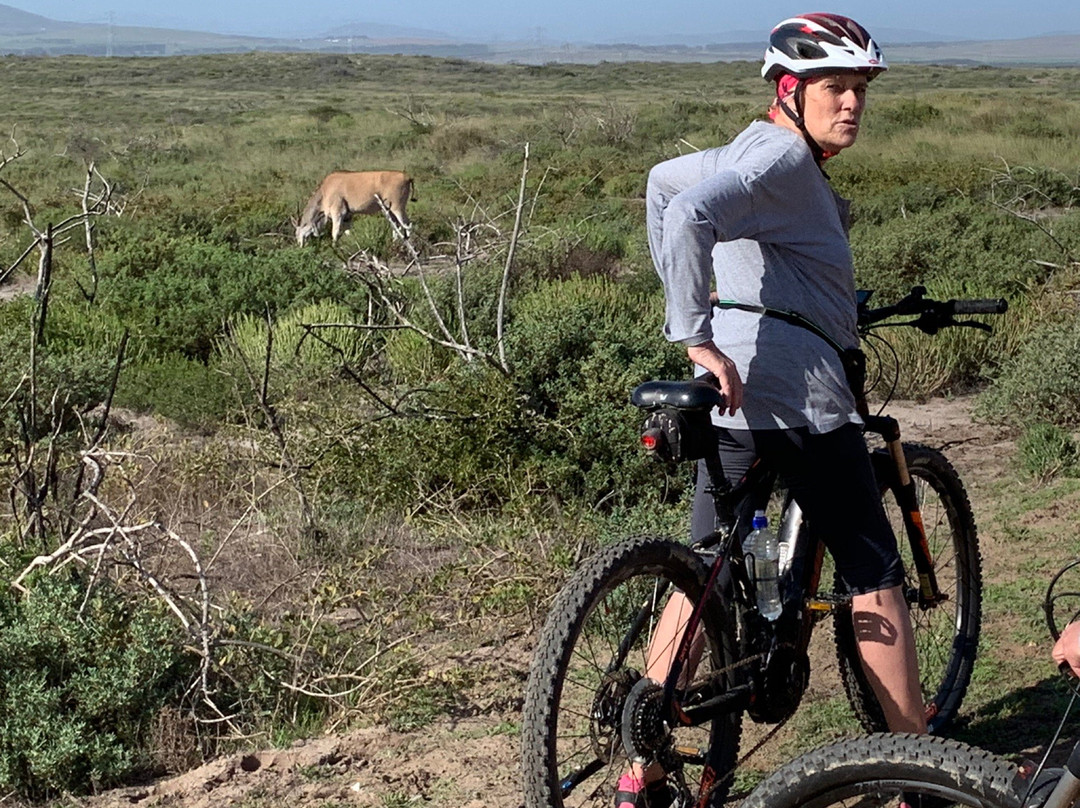 Koeberg Private Nature Reserve-Green Point必去景点