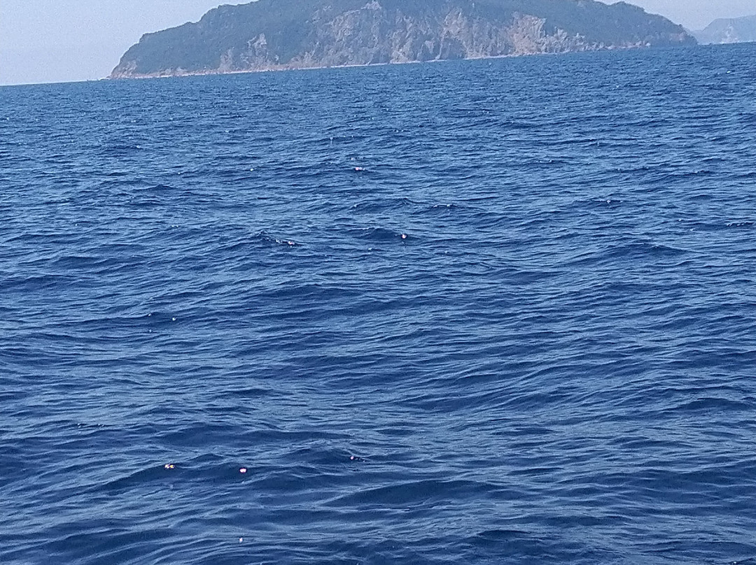 Nautilus Scuba School Asd景点图片