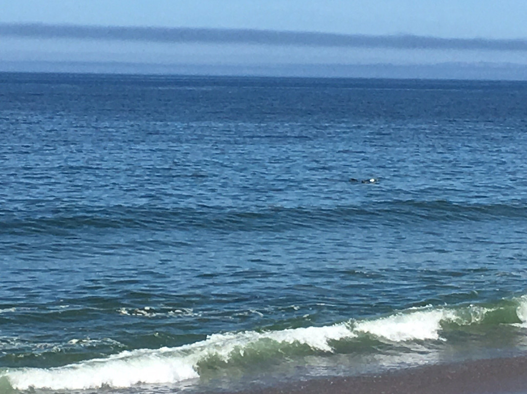 Point Reyes South Beach-Point Reyes National Seashore必去景点