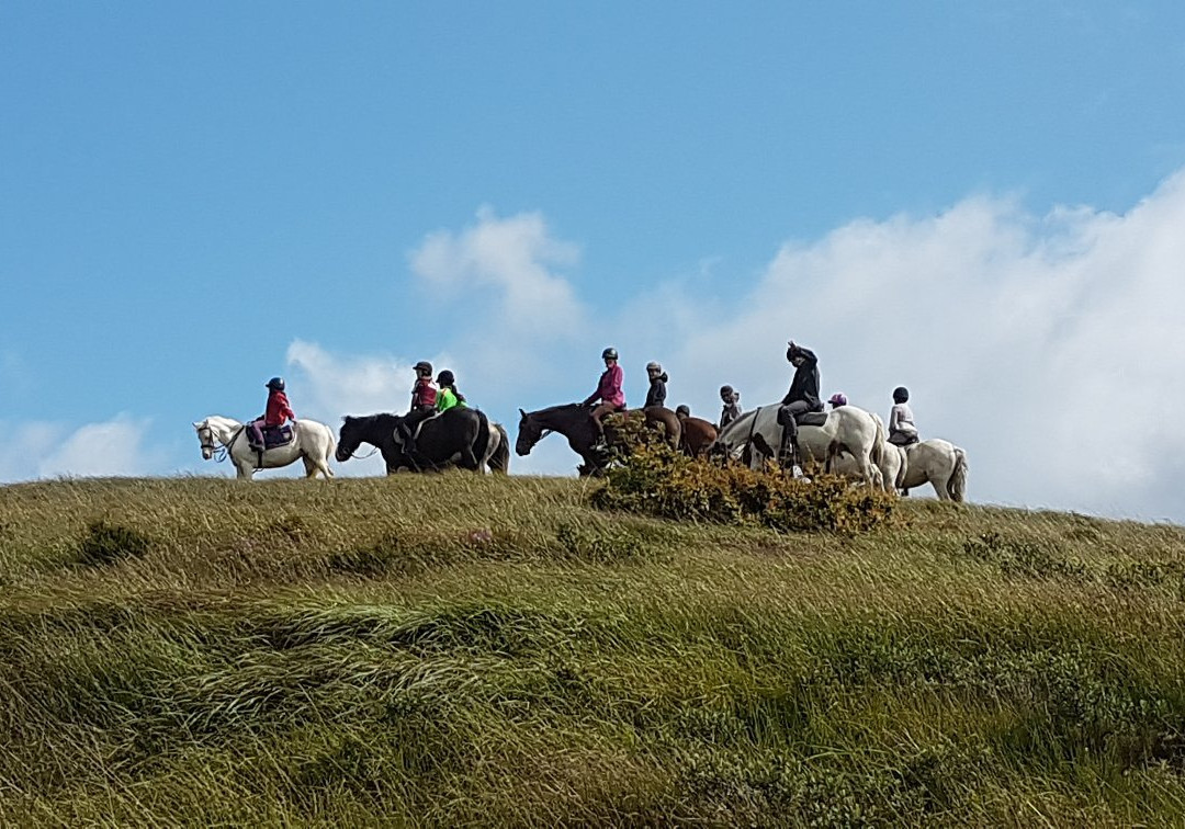 Knockillaree Riding Centre-Oughterard必去景点