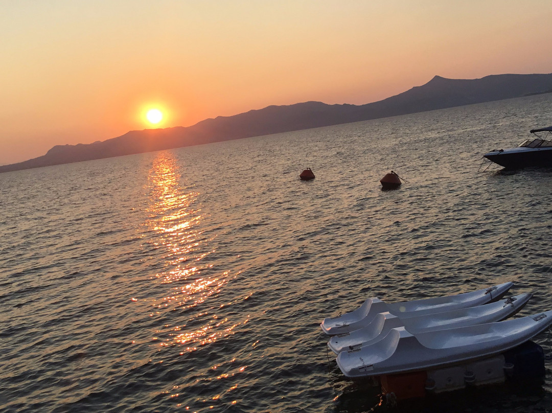 Rosy's Little Village主图