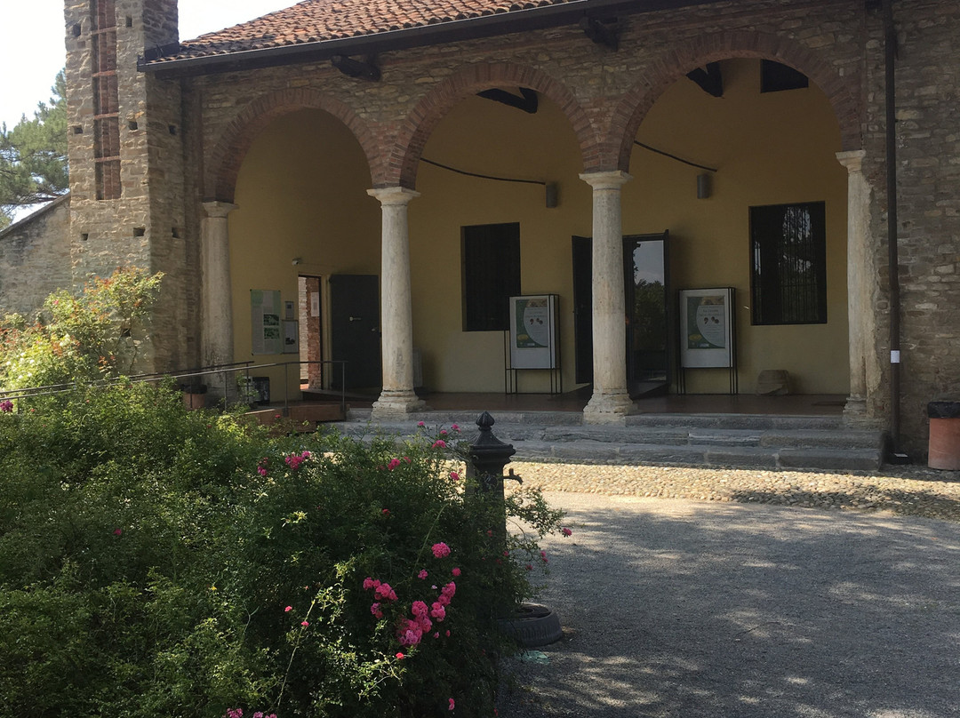 Museo Archeologico di Acqui Terme景点图片