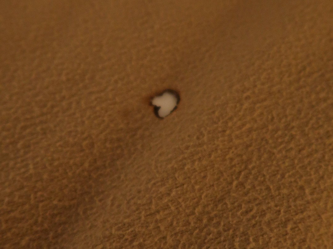 桃子树旅馆主图