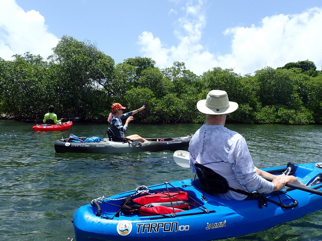 Conservation Kayak-St. George's必去景点