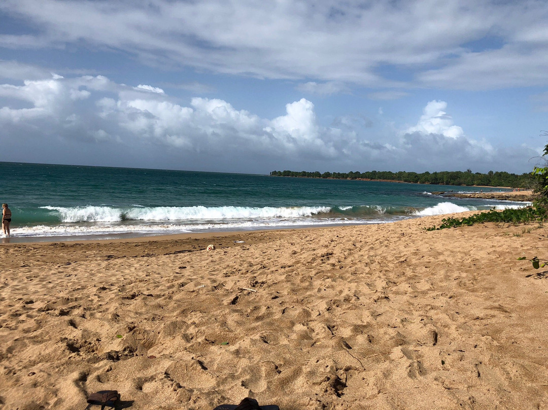 Plage Cluny-Sainte Rose必去景点