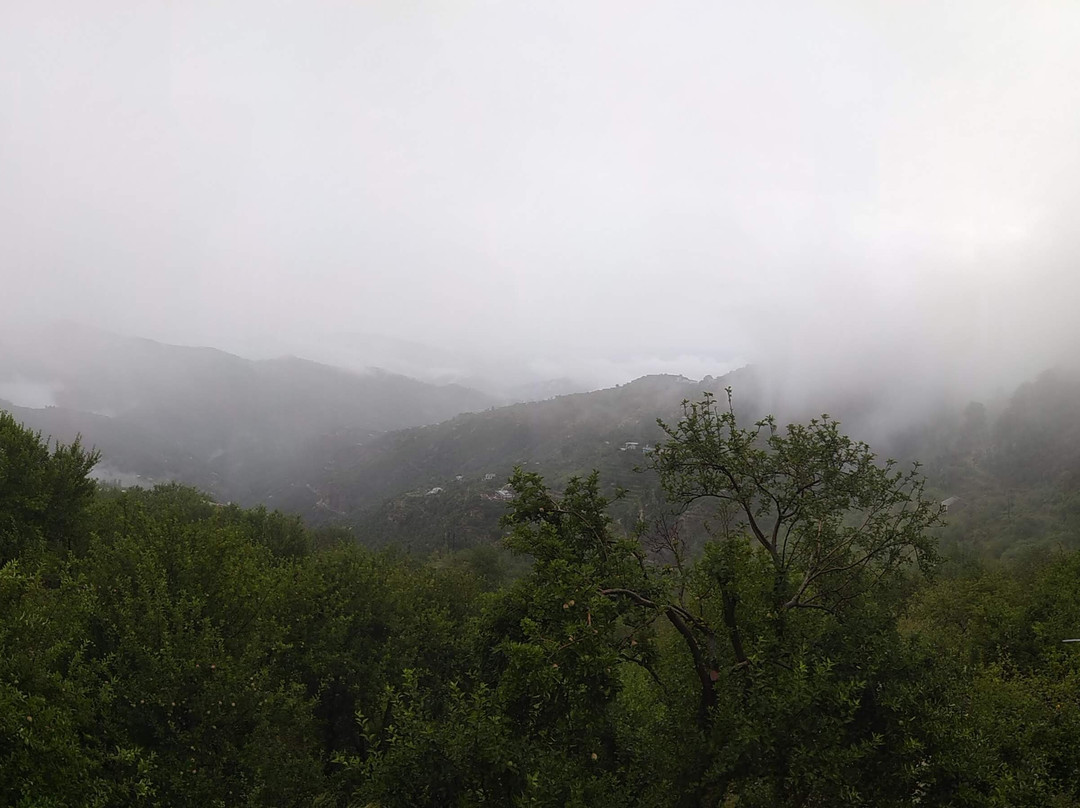 Pailaaag orchard & Restaurant主图