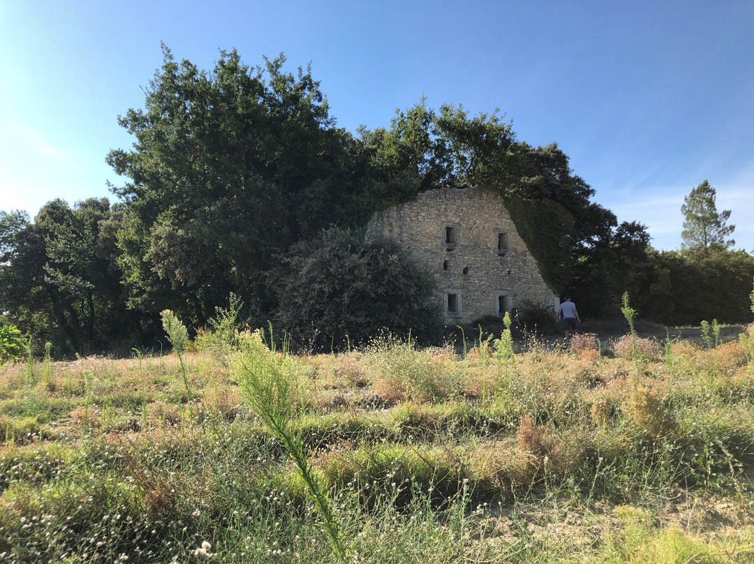 Domaine des Gravennes景点图片