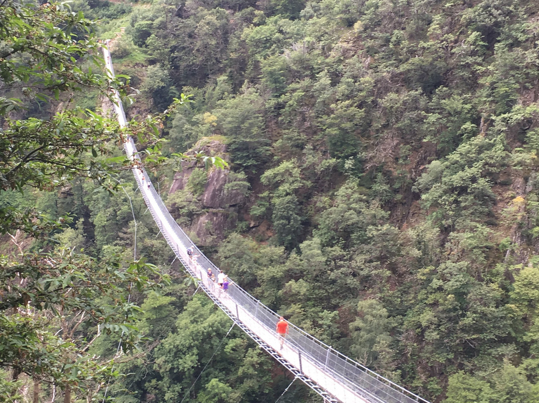 Tibetan bridge "Carasc"景点图片