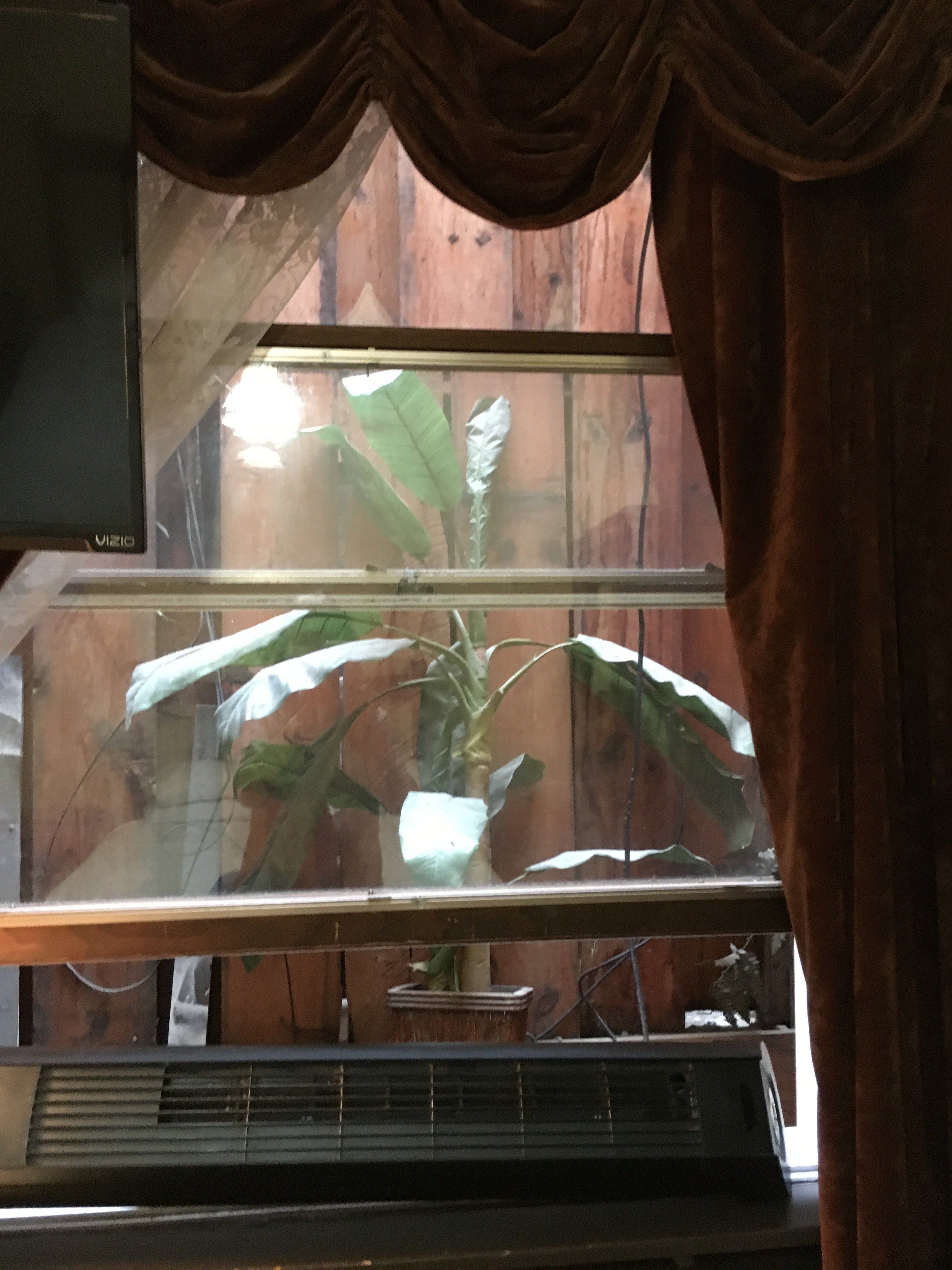 阿拉斯加酒店及酒吧-酒店景观