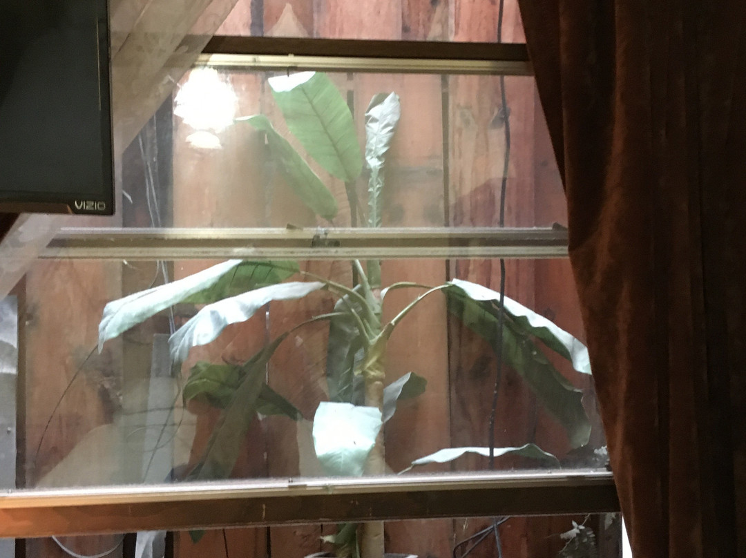 阿拉斯加酒店及酒吧主图