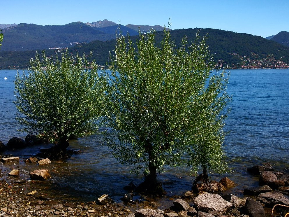 Spiaggia Camping Lago Azzurro景点图片