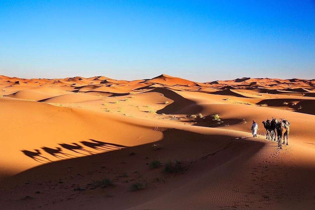 Merzouga Travel Tours景点图片
