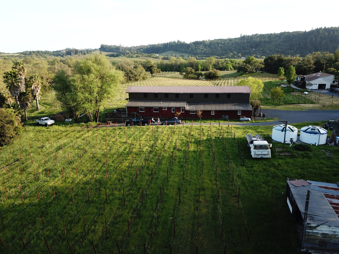Enriquez Estate Wines景点图片