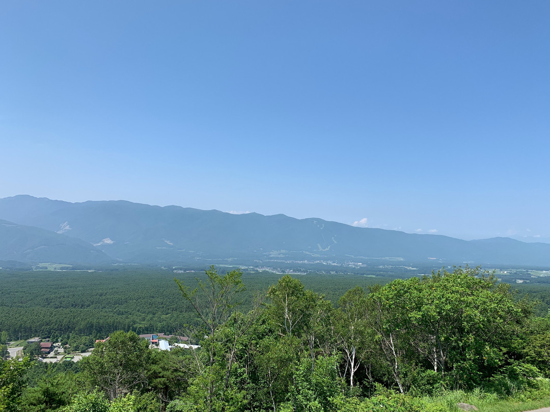 Fujimi Kogen Sozono Mori-富士见町必去景点