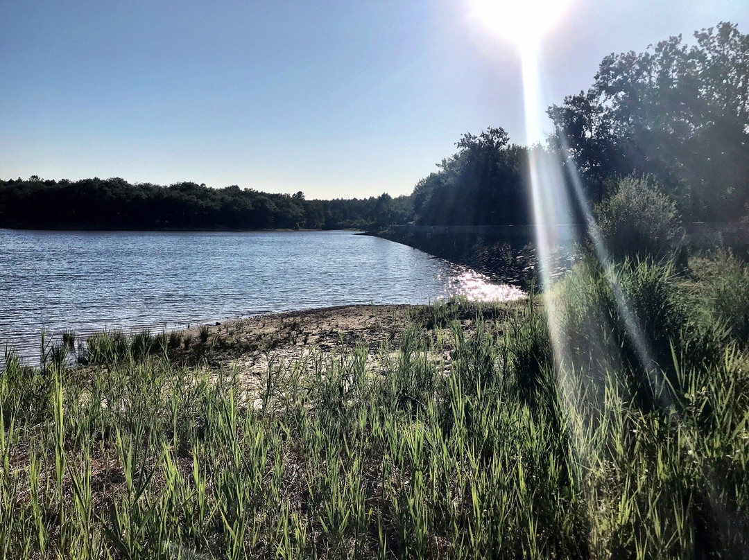 Lac Jemaye Regional Park景点图片