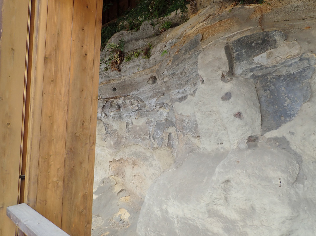 Iwayaji Temple Stone Budda-大分市必去景点