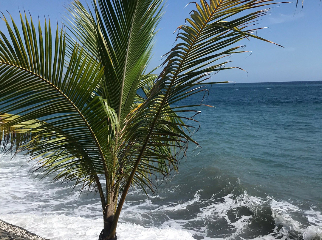 Caimeo Beach Resort主图