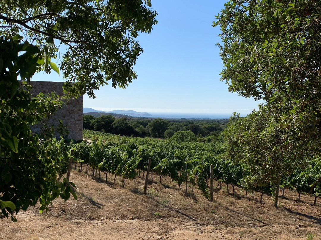 Domaine d'Alzipratu-Zilia必去景点