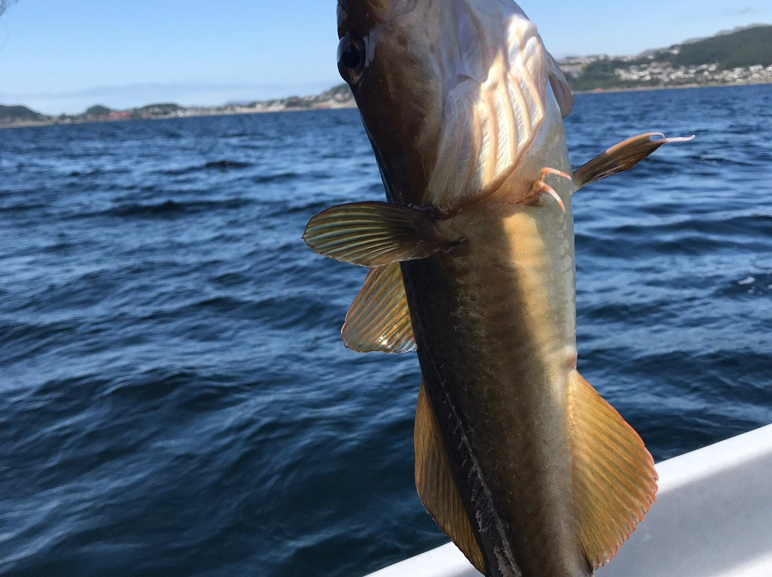 Floroe Rorbu