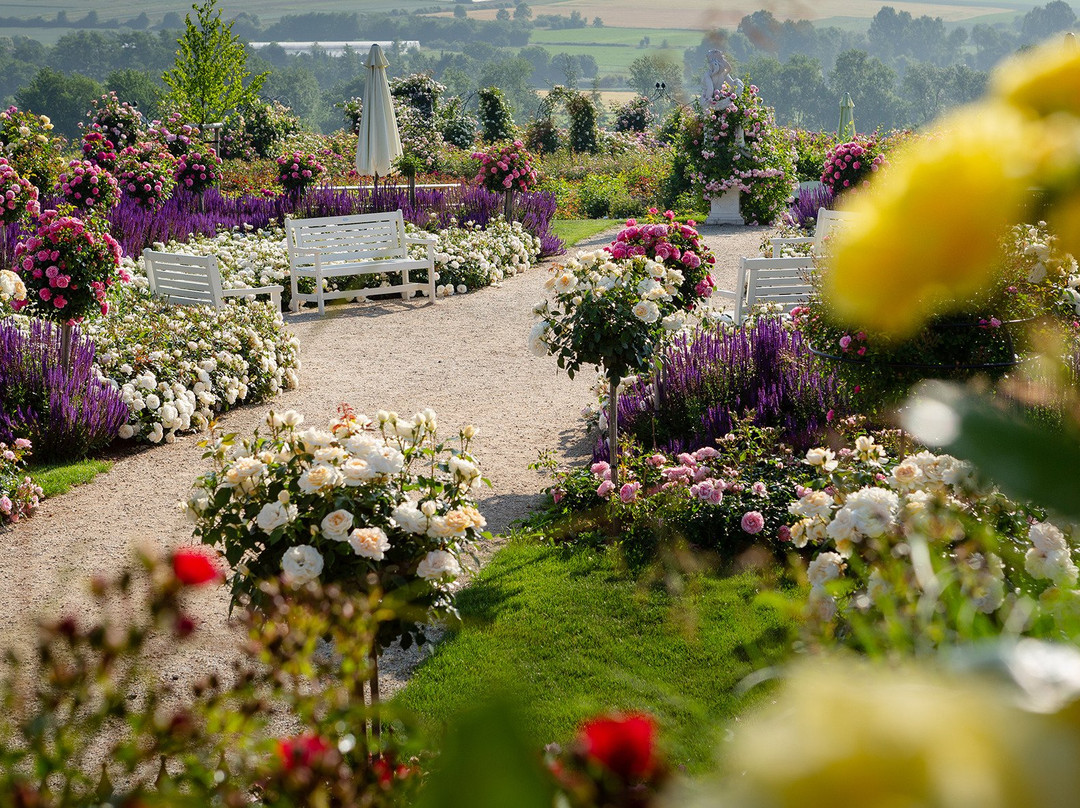 RosenPark Dräger-Bad Nauheim必去景点